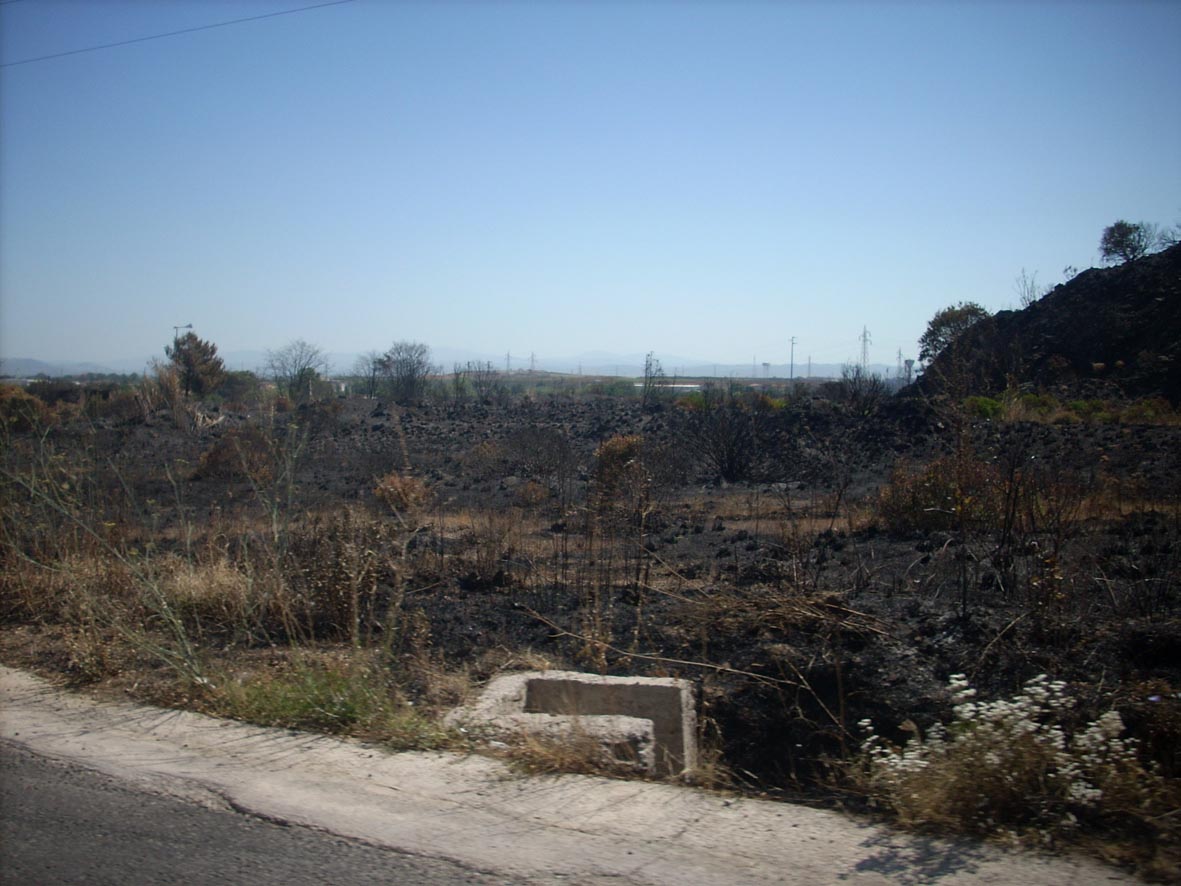 Incendio ai prati allagati di Fiorentina (Piombino - LI)